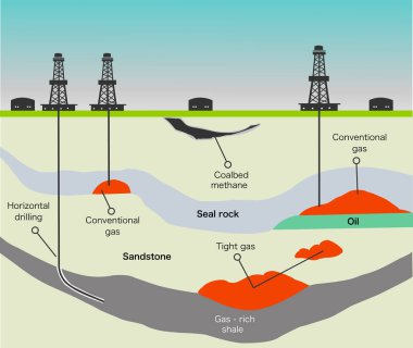 Priestley Fotosentez vektör çizimi deneyi