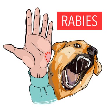 Dog bite, sick animal, the rabies virus clipart