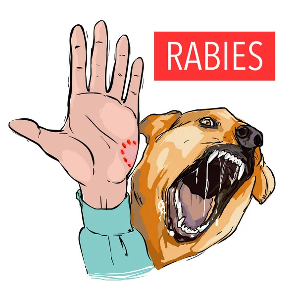 Hond Beet Zieke Dier Het Rabiësvirus — Stockvector
