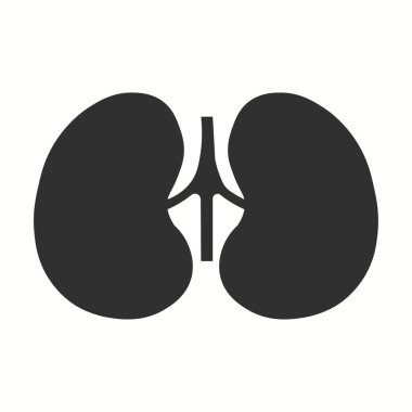 Siyah renkte insan böbreği simgesi beyaz arkaplanda izole