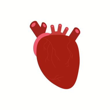 Yaratıcı tıp kavramı. Düz tarzda izole vektör illüstrasyon anatomik insan kalbi karikatür tasarım simgesi