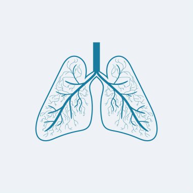 Lungs icon, flat style. Internal organs of the human design element, logo. Anatomy, medicine concept. Healthcare. Isolated on blue background. Vector illustration