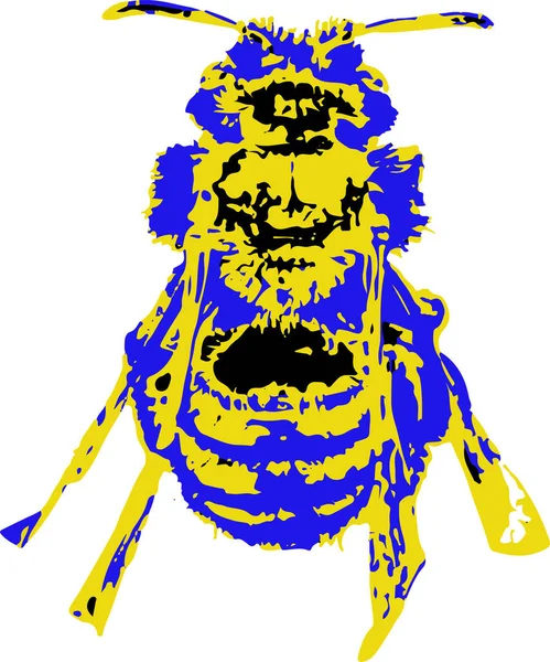 Желтая Синяя Пчела Пчела Оса — стоковое фото