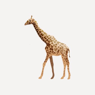 Basit hayvan temalı vektör / illüstrasyon tasarımı