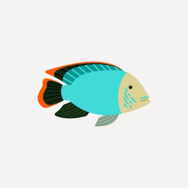 Basit hayvan temalı vektör / illüstrasyon tasarımı