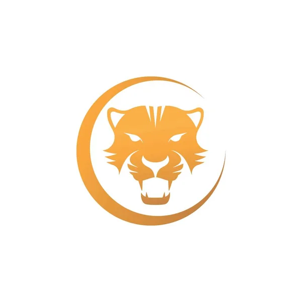 Tigre Animal Thème Vectoriel Design — Image vectorielle