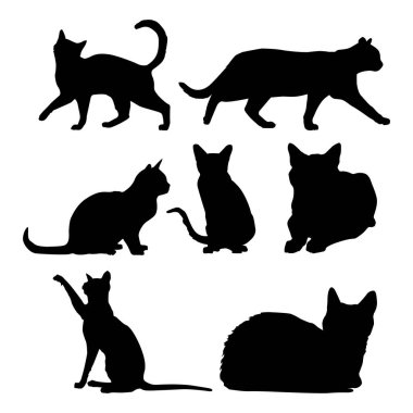 Kedi hayvan temalı vektör tasarımı