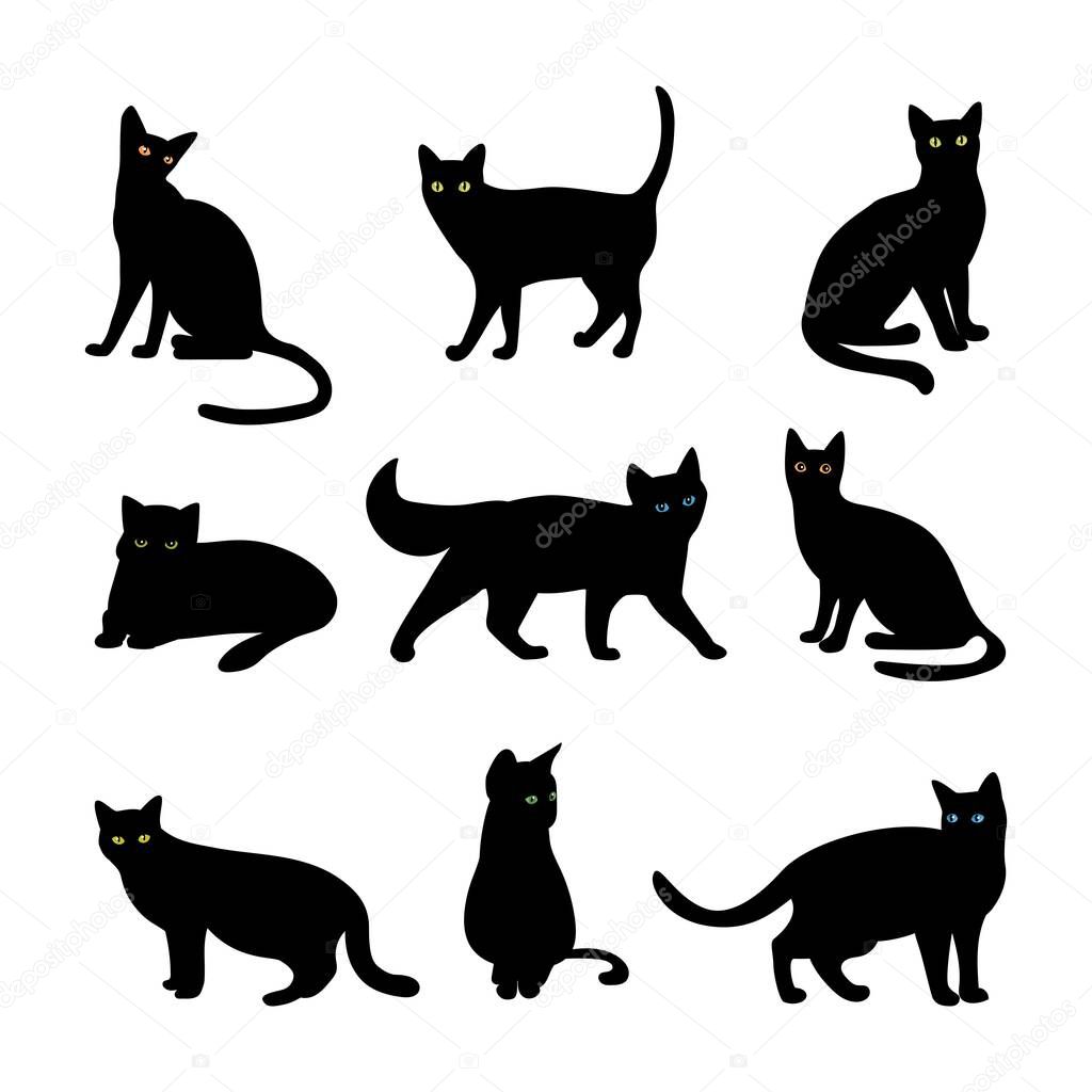 Cat animal themed vector design