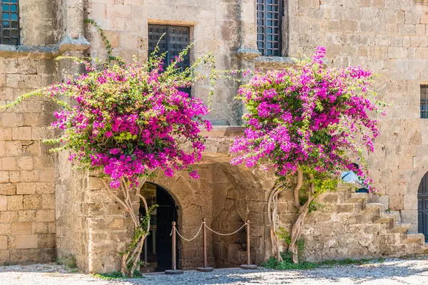 Kvetoucí Ulice Starého Města Rhodos Řecko — Stock fotografie