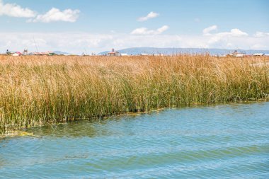 Peru 'daki Titicaca Gölü' nde yüzen Uros Adaları.