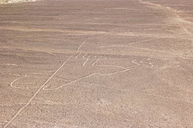 Nazca Çizgileri - Güney Peru 'daki Nazca Çölü topraklarında üretilen çok büyük geoglifler grubu.
