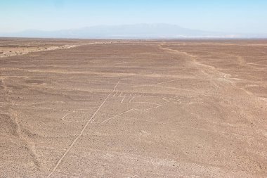 Nazca Çizgileri - Güney Peru 'daki Nazca Çölü topraklarında üretilen çok büyük geoglifler grubu.