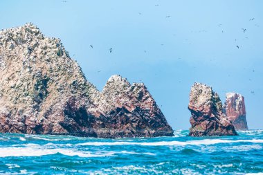 The Ballestas Islands - group of small islands near the town of Paracas in Peru. clipart