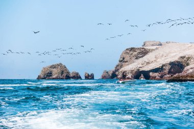 Paracas, Peru - Ekim 2021: Ballestas Adaları - Peru 'daki Paracas kasabası yakınlarındaki küçük adalar grubu.