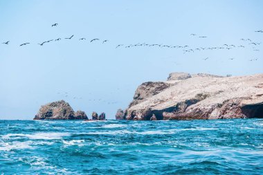 Ballestas Adaları - Peru 'daki Paracas kasabası yakınlarındaki küçük adalar grubu.