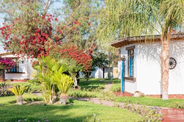 Nazca şehrinde tipik bir Peru çiftliği..