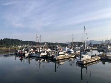 Aziz Paul Limanı, Kodiak AK