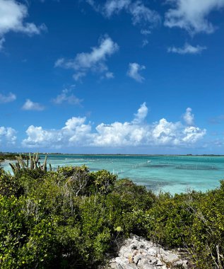 Şeytanminaresi tarlası manzarası