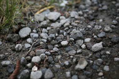 Kuru ot yığınına yakın.