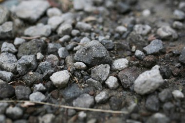 Kömür yığınına yakın.