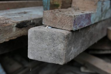 Çiçekler solmuş ve evin yanında ölmeye başlamışlar.