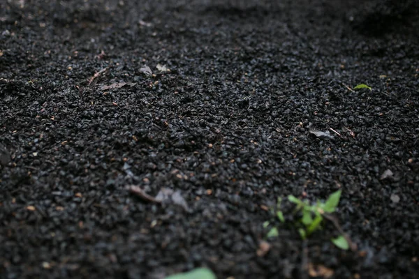 black and white texture of a small house