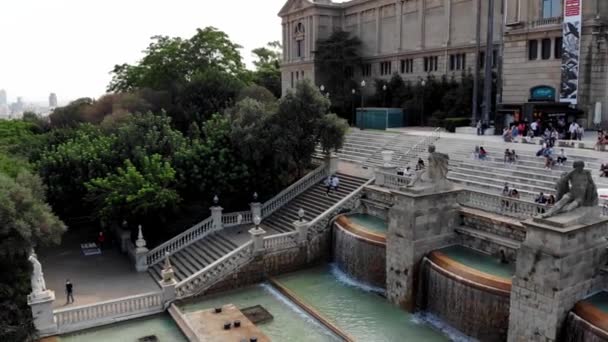 Drone Tiro Palácio Nacional Barcelona Museu Nacional Arte Catalunha Vista — Vídeo de Stock