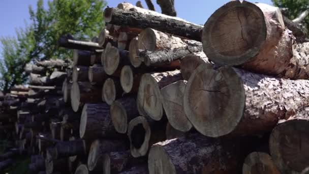 Holzbearbeitung Und Holzeinschlag Alternative Energiequellen Aus Holzabfällen Brennholz Zum Verbrennen — Stockvideo