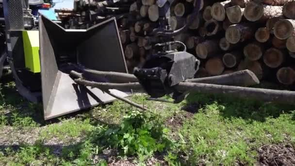 Trabajos Carpintería Tala Fuentes Alternativas Energía Los Residuos Madera Leña — Vídeos de Stock