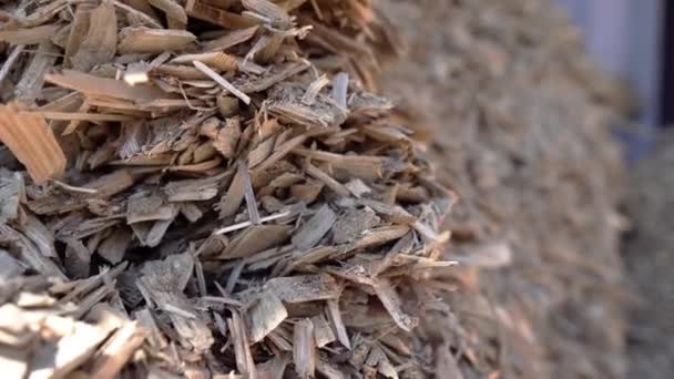 Träpartiklar Olika Former Och Storlekar Erhållna Genom Mekanisk Bearbetning För — Stockvideo