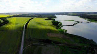 Ayçiçeği tarlasının insansız hava aracı görüntüsü. Çiftçilik. Ayçiçeği ekimi. Ayçiçeği hasadı. Kuzey Avrupa 'da tarım. Arazide ayçiçekleri olan bir dronun panoramik görüntüsü. Balık havuzlarının havadan görünüşü.