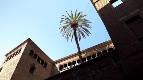 Gotische Wijk Van Barcelona Het Centrale Oudste Deel Van Oude — Stockvideo