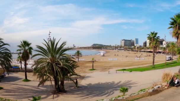 Barcelona Beach Amazing City View Sandy Beach Nudist Area People — Stock Video