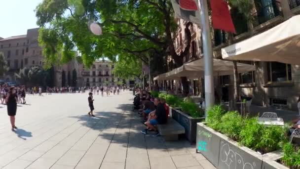 Barcelona Daki Kutsal Haç Katedrali Aziz Eulalia Barselona Daki Katolik — Stok video