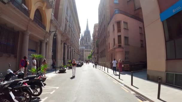 巴塞罗那的圣十字大教堂和圣尤拉利亚大教堂 巴塞罗那天主教大教堂附近的许多游客 圣尤拉里亚大教堂 巴塞罗那大教堂 — 图库视频影像