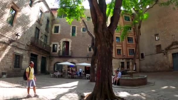 San Felipe Neri Square Barcelona Small Square Gothic Quarter Old — ストック動画