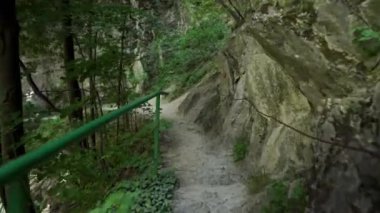 Matka Kanyonu 'ndaki dağ yolu. Vadi boyunca dağ yolu. Matka Üsküp Kanyonu. Kuzey Makedonya 'daki kanyon. Treska Nehri Vadisi. Yeşil kayalık yamaçlar. Kuzey Makedonya 'da yürüyüş