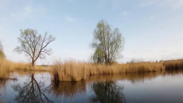 移動雲のタイムラプス 北ヨーロッパの湖の上の雲のペースの速い映像 湖の上に葦 動きの風景のパノラマのタイムラプス 春の天気 毛深いエリア — ストック動画