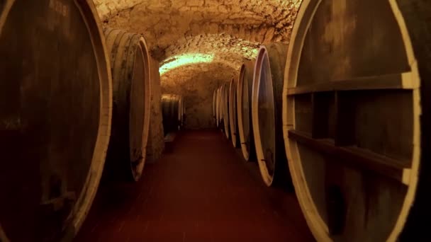 Wine Culture Center Shabo Shabo Plant Odessa Region Aging Wine — Stock Video