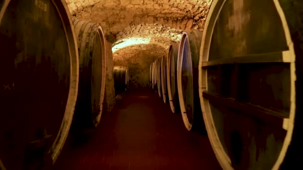 沙博葡萄酒文化中心 敖德萨地区的Shabo工厂 酒窖里橡木桶里陈酿的酒 现代葡萄酒生产技术 葡萄加工 — 图库视频影像