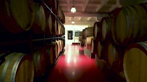 Centro Cultura Vinho Shabo Fábrica Shabo Região Odessa Envelhecimento Vinho — Vídeo de Stock