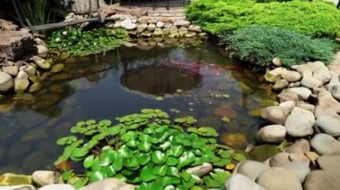 Shabo fabrikasının bölgesinde balıklı gölet. Şarap Kültür Merkezi Shabo. Odessa bölgesindeki Shabo fabrikası. Şarap fabrikası. Dinlenme ve dinlenme yeri. Gölette kırmızı ve sarı balık