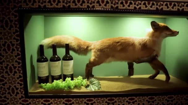 Shabo Museum Stuffed Fox Glass Shabo Museums Wine Culture Center — Stockvideo