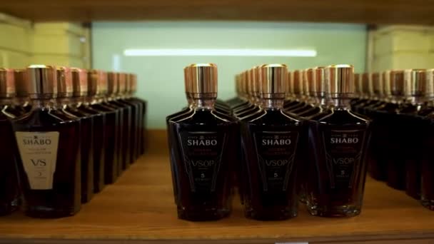 Shelves Wine Cognac Shabo Factory Wine Culture Center Shabo Alcoholic — Stok video