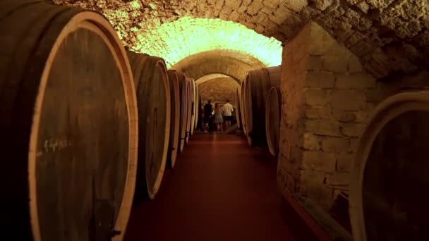 Wine Culture Center Shabo Shabo Plant Odessa Region Aging Wine — Stock Video