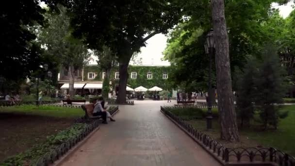 オデッサ市内の庭園 オデッサ市内中心部の公園 オデッサ市内で最も古い公園ウクライナ 愛の記念碑オデッサの木 ブロンズ像 — ストック動画