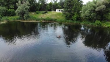 Kuzey Avrupa 'daki yeşil bir şehrin panoramik insansız hava aracı görüntüsü. Kumlu sahilleri olan bir adada insansız hava aracı vuruldu. Ukrayna 'daki Psel nehri üzerindeki yaya köprüsü, Sumy şehri. İnsanlar sahilde dinleniyor.