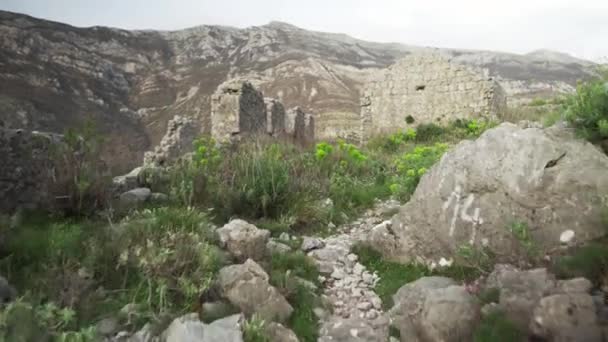 Fortaleza Dilapidada Haj Nehaj Fortress Sutomore Montenegro Fortaleza Medieval Construída — Vídeo de Stock