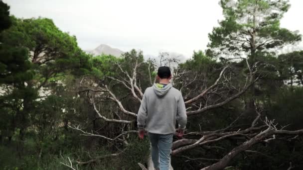 Mladý Muž Čepici Kráčí Padlém Stromě Černé Hoře Ten Chlap — Stock video