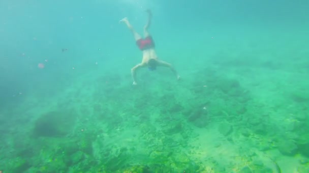 屏住呼吸潜水 在西班牙地中海的自由活动 运动员去潜水 在没有装备的情况下跳伞海底岩石 水下动物 在水下休息 — 图库视频影像